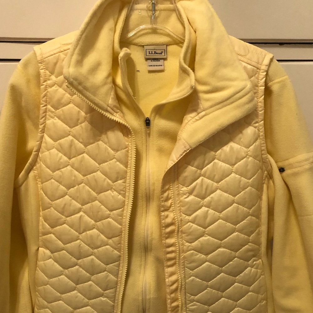Fleece vest